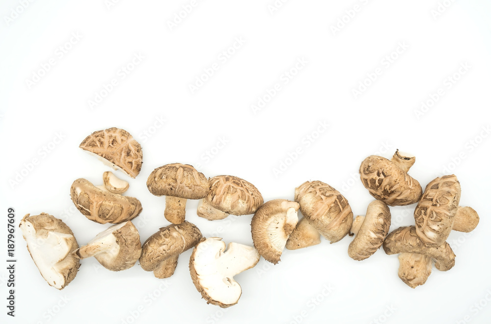 Top view many Mushrooms isolated on white background .