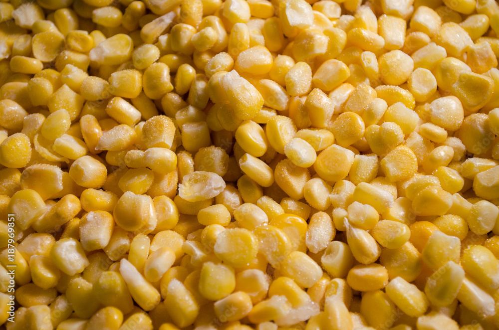 Corn Corn Background Corn Corn Background