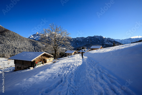 Fototapeta Naklejka Na Ścianę i Meble -  paesaggio invernale a Piereni, in Val Canali, nel parco naturale di Paneveggio - Trentino