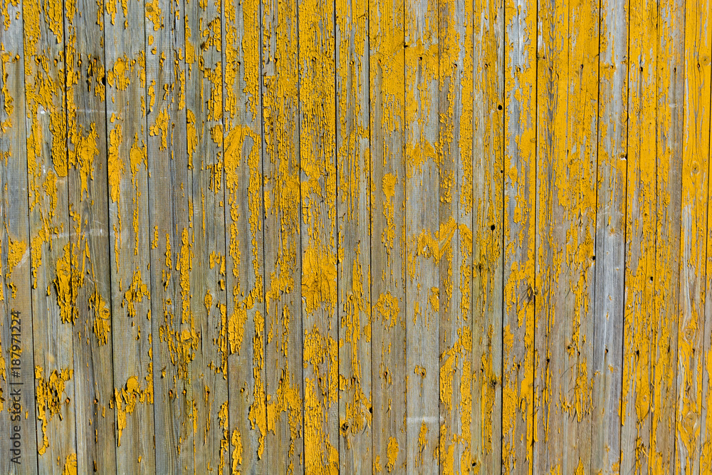 Oblessa yellow paint on a wooden fence - background