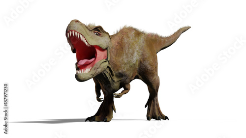 Tyrannosaurus rex roaring,  T-rex dinosaur (3d illustration isolated with shadow on white background) © dottedyeti