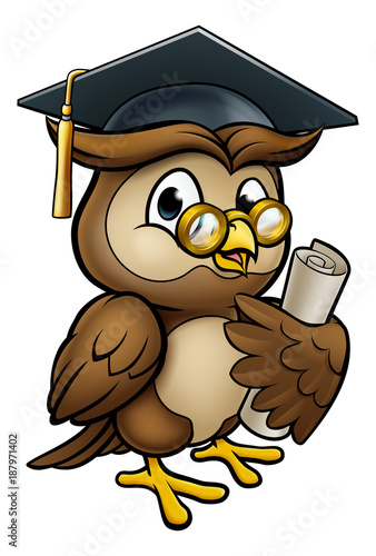 Wise Owl Graduate Character