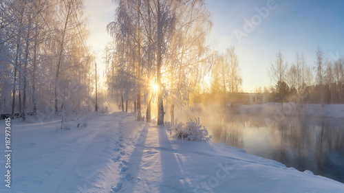 Заснеженный зимний лес кустами и елями на берегу реки с туманом, Россия, Урал, январь © 7ynp100