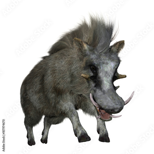 3D Rendering Common Warthog on White photo