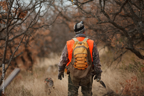Photography hunters with dogs hunting a bird woodcock