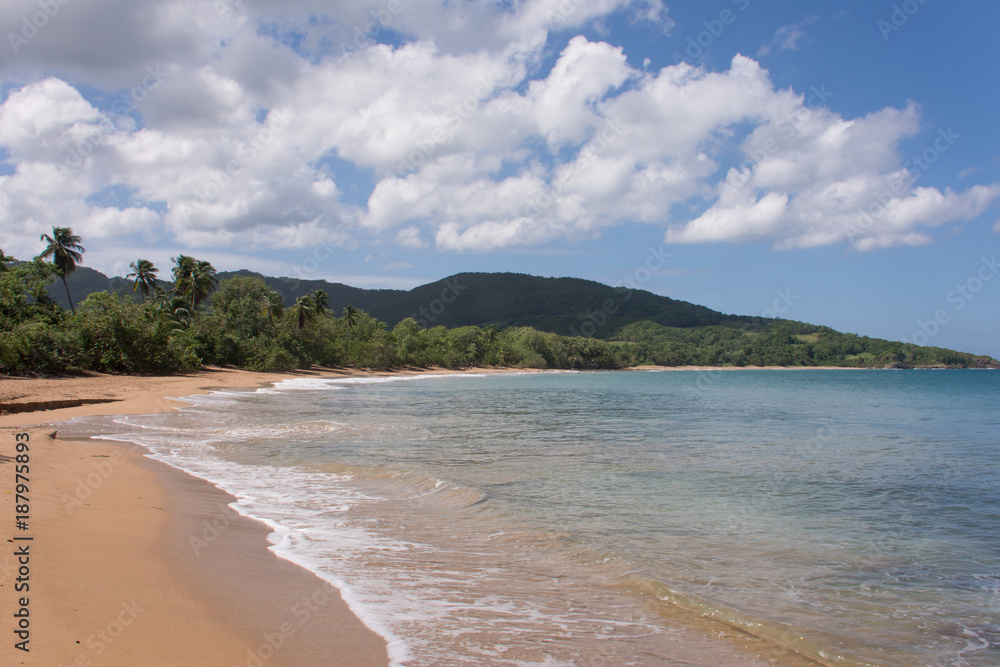 Fototapeta premium Plages de Guadeloupe