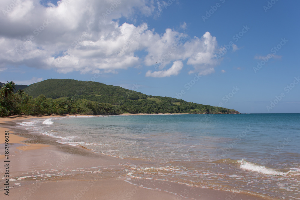 Plages de Guadeloupe : cluny