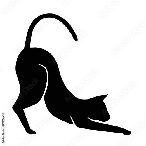 black cat silhouette