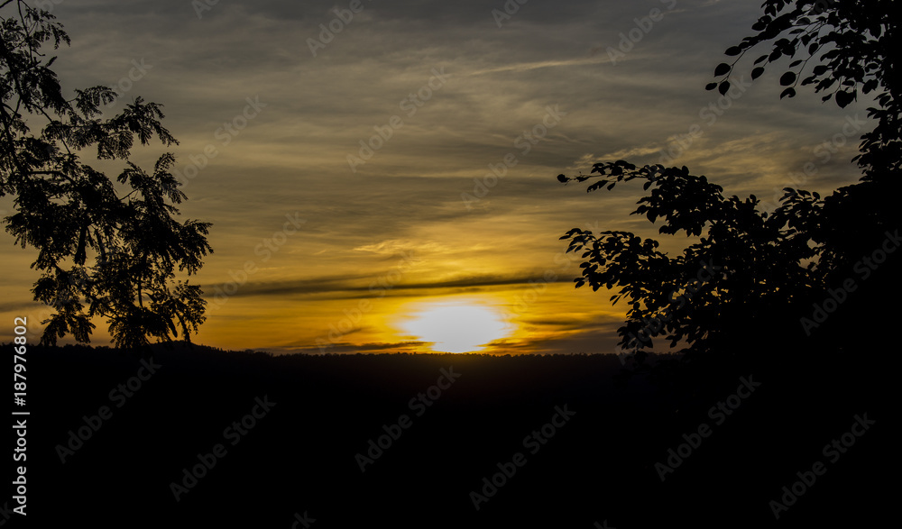 View of sunset and cloud in the evening sky with silhouette branch tree .