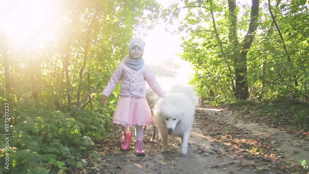 little girl is walking on nature in autumn little girl is walking on nature in autumn
