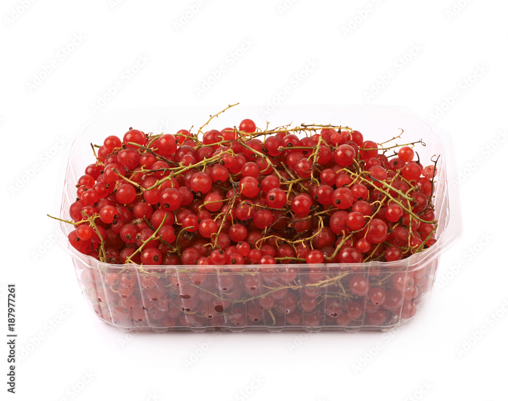 Plastic box of red currant isolated Plastic box of red currant isolated