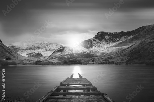 Beautiful black and white s...