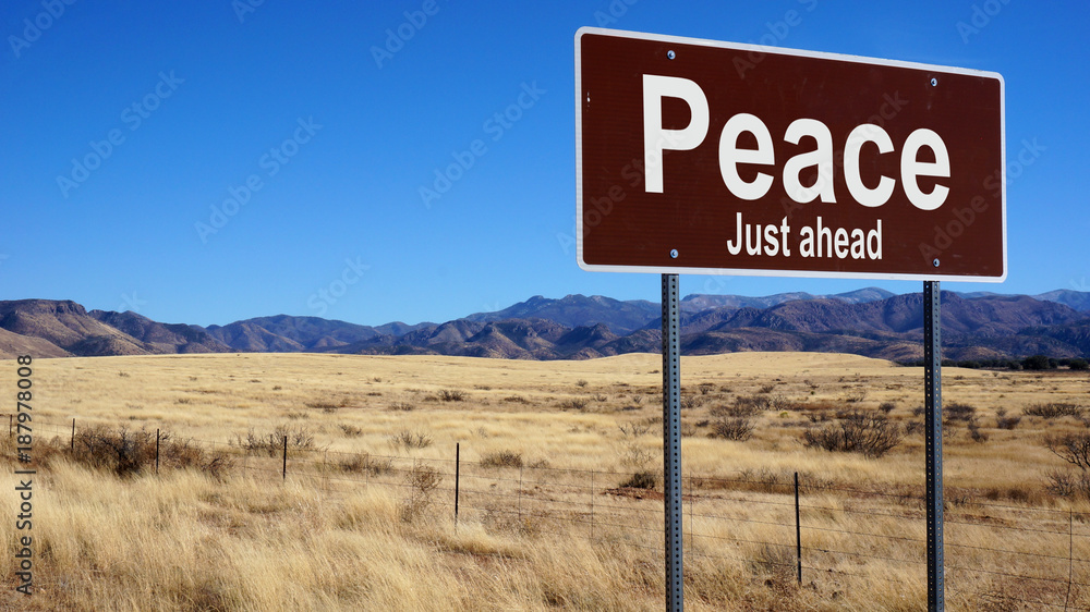 Peace brown road sign