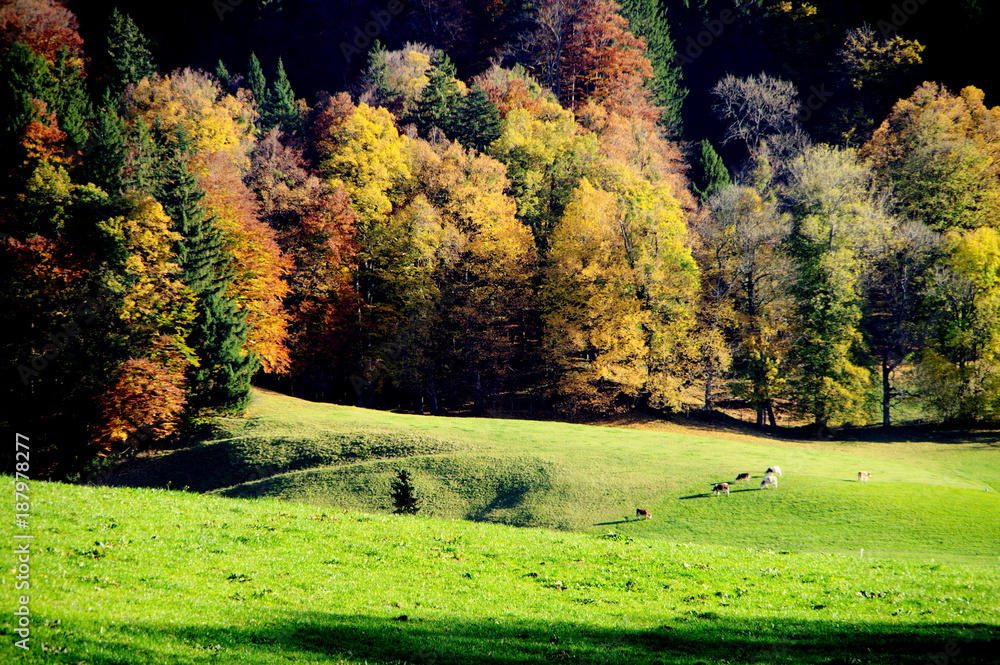 Leuchtende Herbstimpressionen aus Süddeutschland