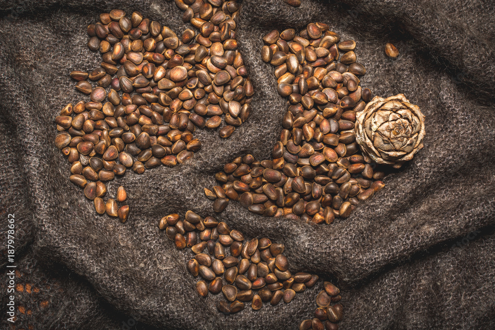 Obraz premium Pine nuts with a lump on shawls