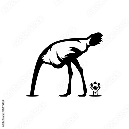 ostrich head in sand vector illustrations