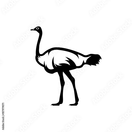 ostrich vector silhouette