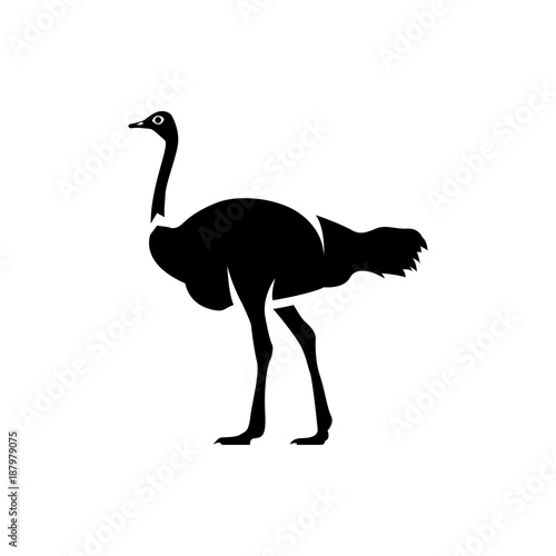 ostrich vector silhouette