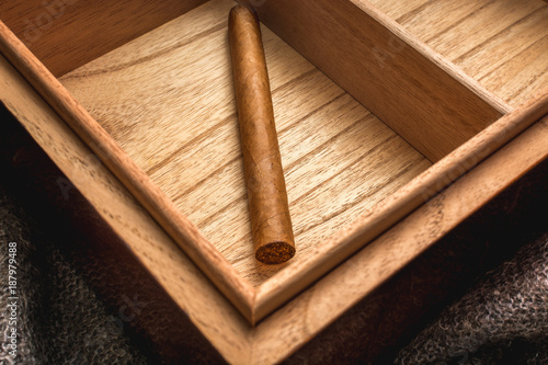 Long Cuban cigar in the humidor Spanish cedar