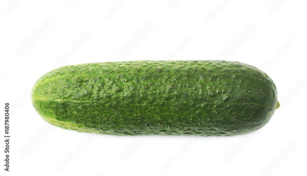 Fresh green cucumber isolated Fresh green cucumber isolated