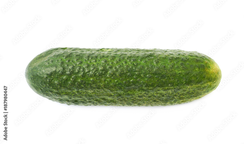Fresh green cucumber isolated Fresh green cucumber isolated