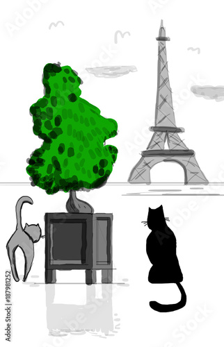 Kedi Ve Paris