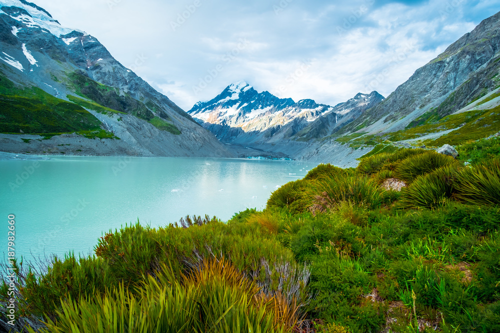 Beautiful nature in Mt Cook National Park, Green grass, Mountain, lake and snow.