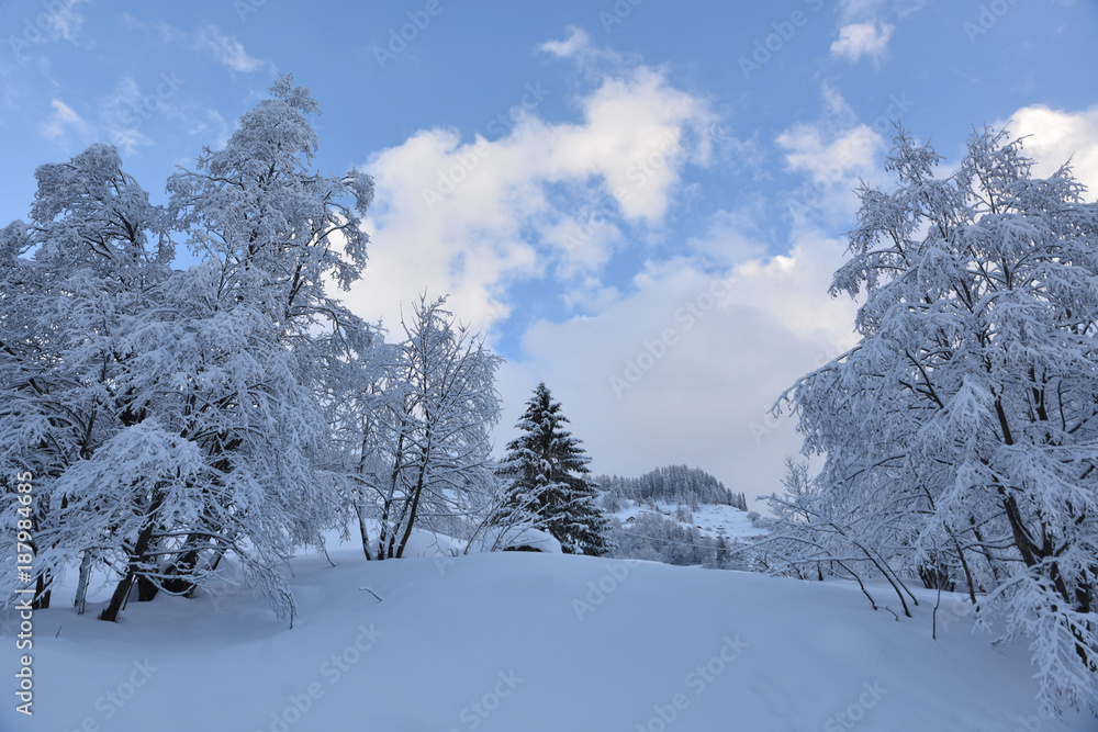 paesaggio alta montagna inverno cima nevicata innevato vallata cartolina 