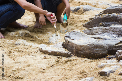 Children are learning dinosaur remains, Excavating dinosaur fossils simulation in the park.