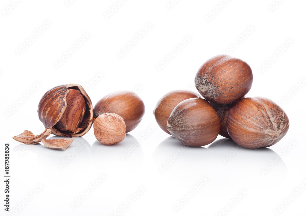 Raw hazelnuts with shell on white background Raw hazelnuts with shell on white background