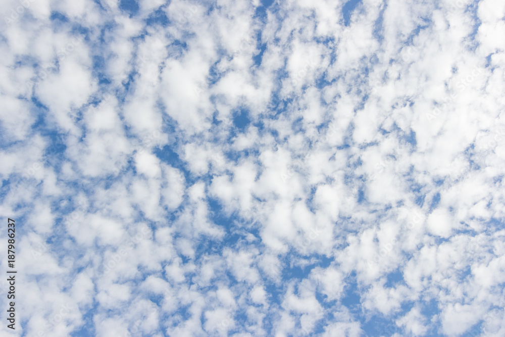transparent sky with clouds and atmospheric afternoon. transparent sky with clouds and atmospheric afternoon.