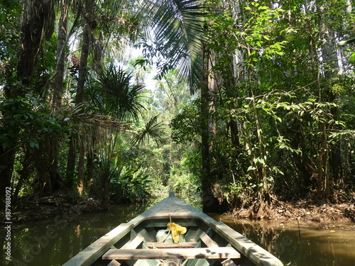 En Amazonie au Pérou photo