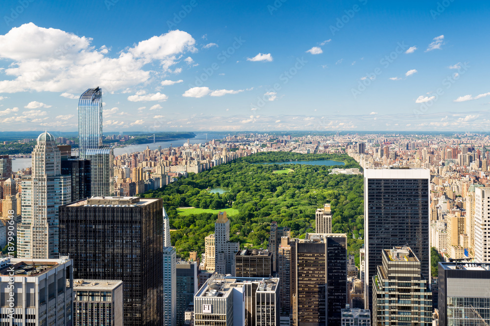 Fototapeta premium Central Park w lecie w Nowym Jorku, USA