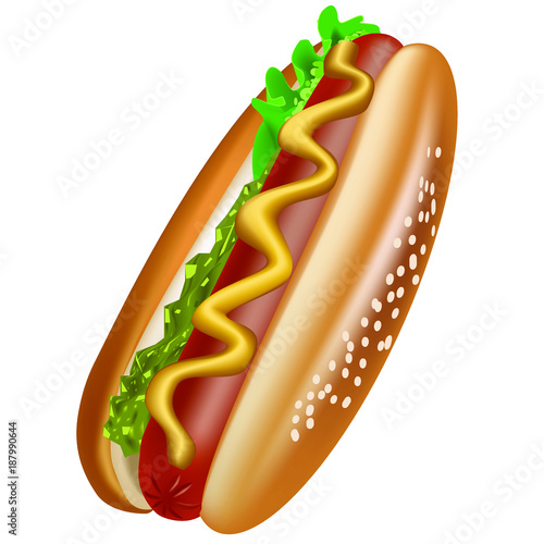 Hot dog vector illustration with white background - sesame bun and sausage with salad, mustard and special sauce
