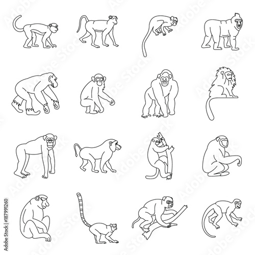 Monkey types icons set, outline style