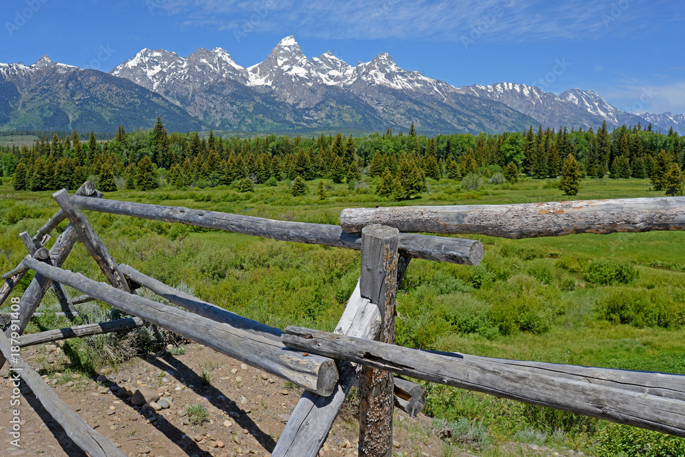 Split rail fence frames snow capped mountains, and a green field.