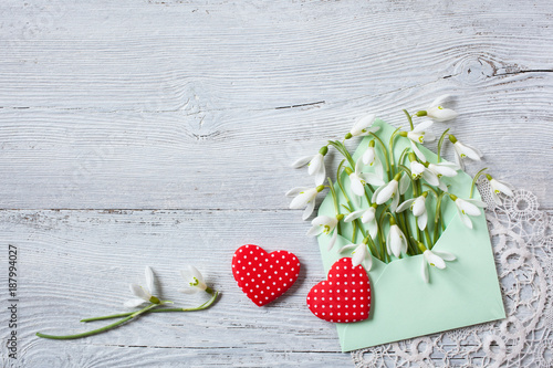 Snowdrops in an envelope and red hearts on a wooden background