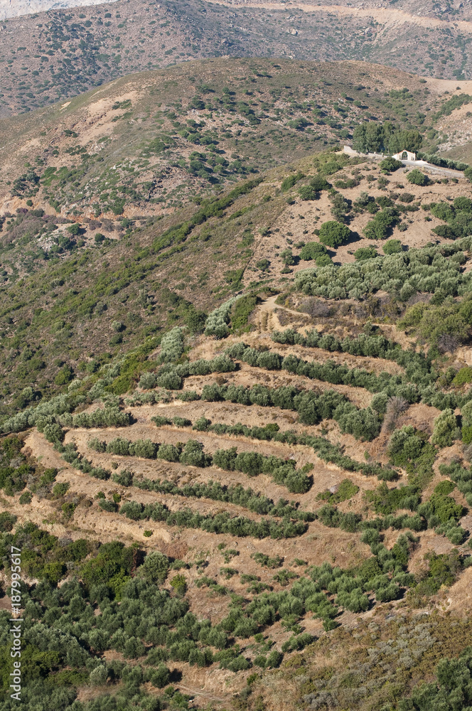 Berglandschaft mit Olivenfeldern
