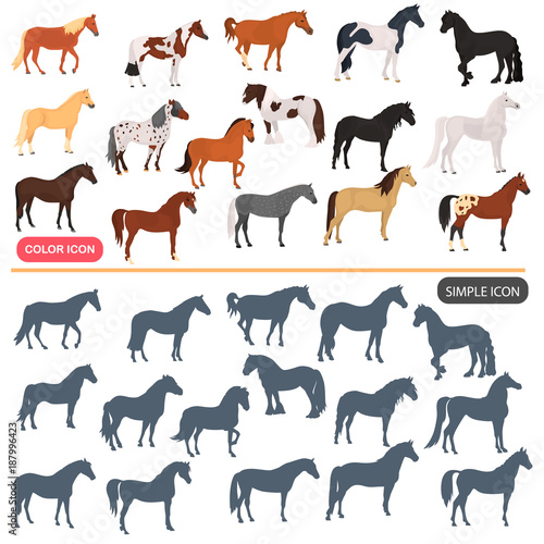 Horse breeds color flat icons set. Horse black silhoutte simple icons set photo