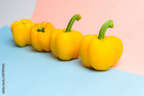 Yellow bell peppers or sweet pepper or paprika on blue and pink pastel background