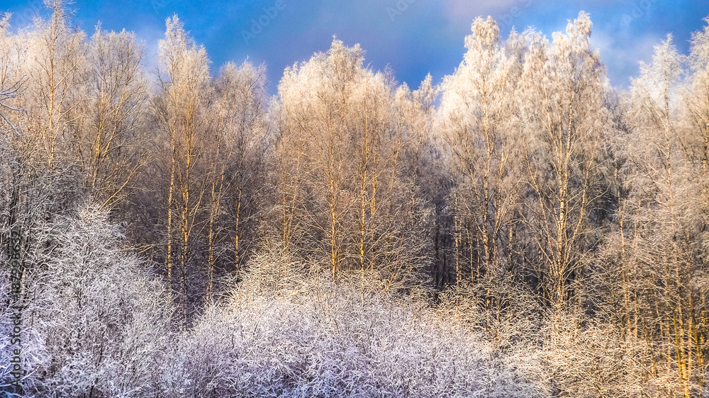 Winter landscape with snow covered trees and the sun.
Winter landscape with snow covered trees and the sun.