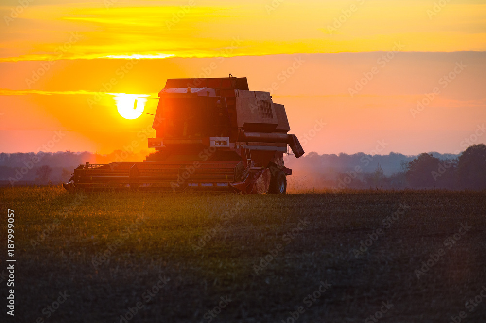 harvester harvesting on the field at sunset