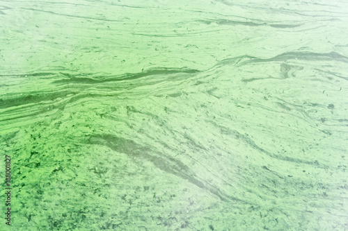 The polluted green water in canal. Water with Green Algae.