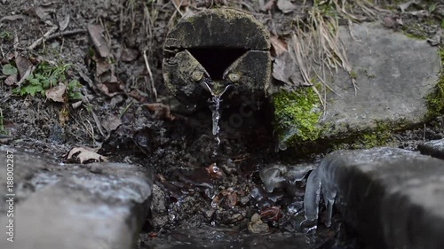 Front side view of the water stream falling down from the old natural brook covered by green moss and ice in the forest in the beginning of the spring season photo