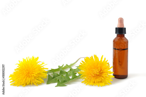 dandelion flowers and bottle with essence