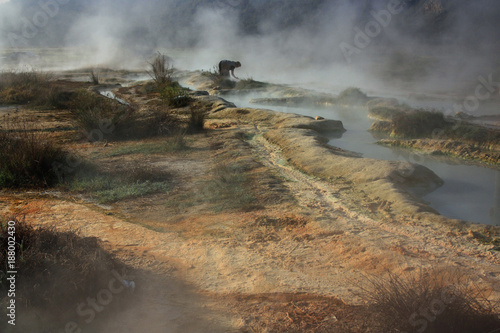 Steam over hot mineral springs