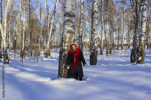 The beauty of Russian winter in the countryside. A woman in a Russian red kerchief in a snow-covered birch grove on a winter sunny day.