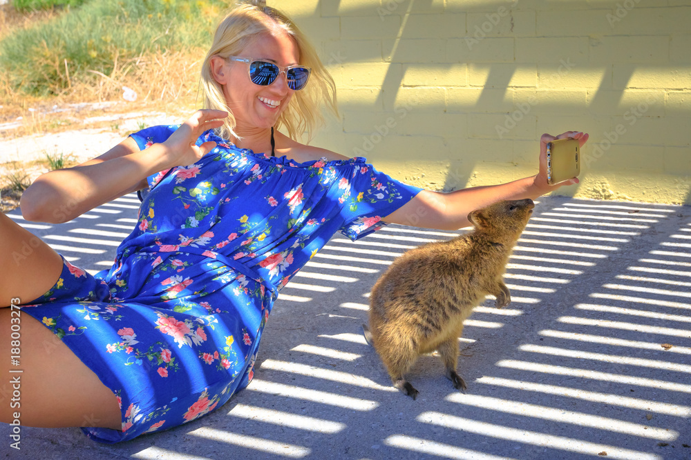 Smiling tourist takes selfie with at Quokka on Rottnest Island, Western  Australia. Quokka is typical animal