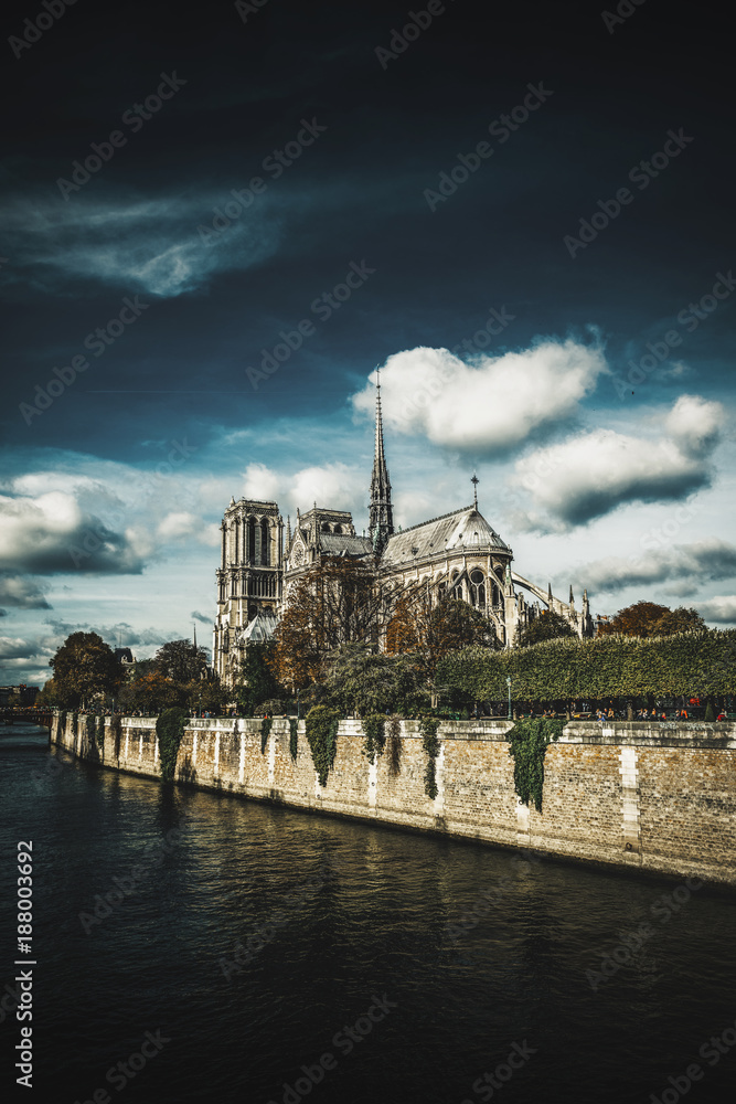 Obraz premium Cathedral of Notre Dame de Paris, France
