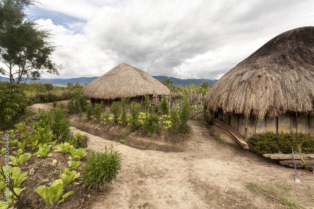 Traditional Dani village. Small local village in the Papua New Guinea, Wamena in Baliem Valley. Traditional Dani village. Small local village in the Papua New Guinea, Wamena in Baliem Valley.